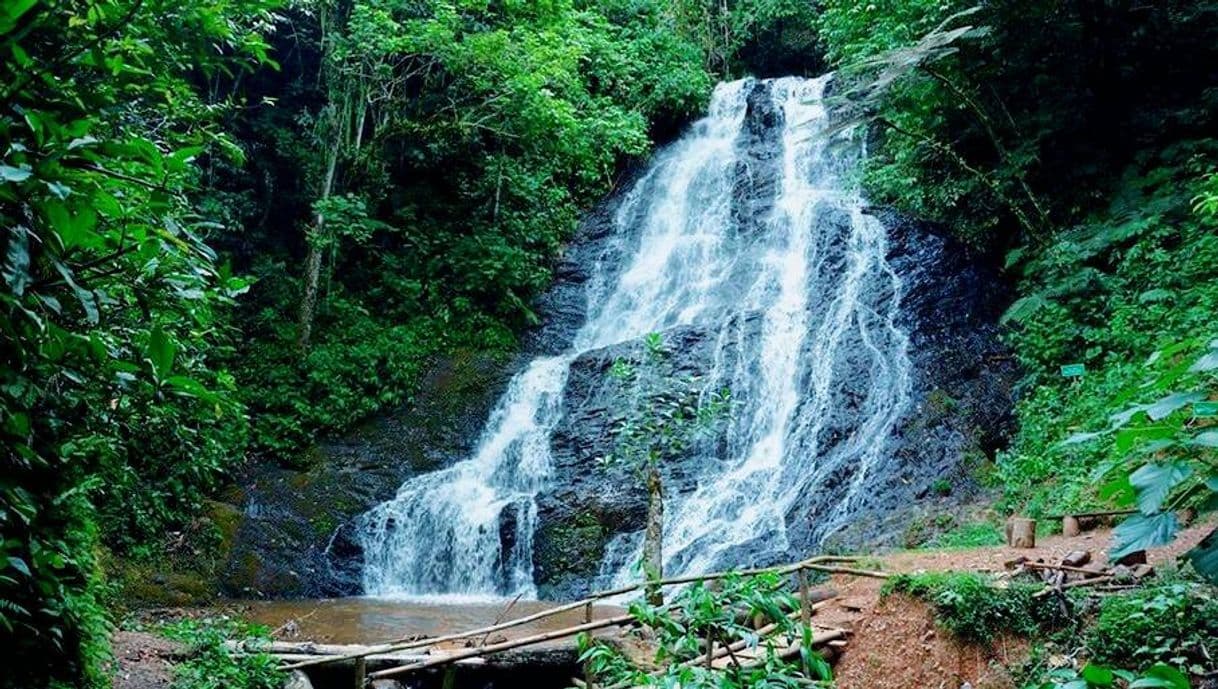 Fashion Catarata promesa de amor-Pangoa 🇵🇪