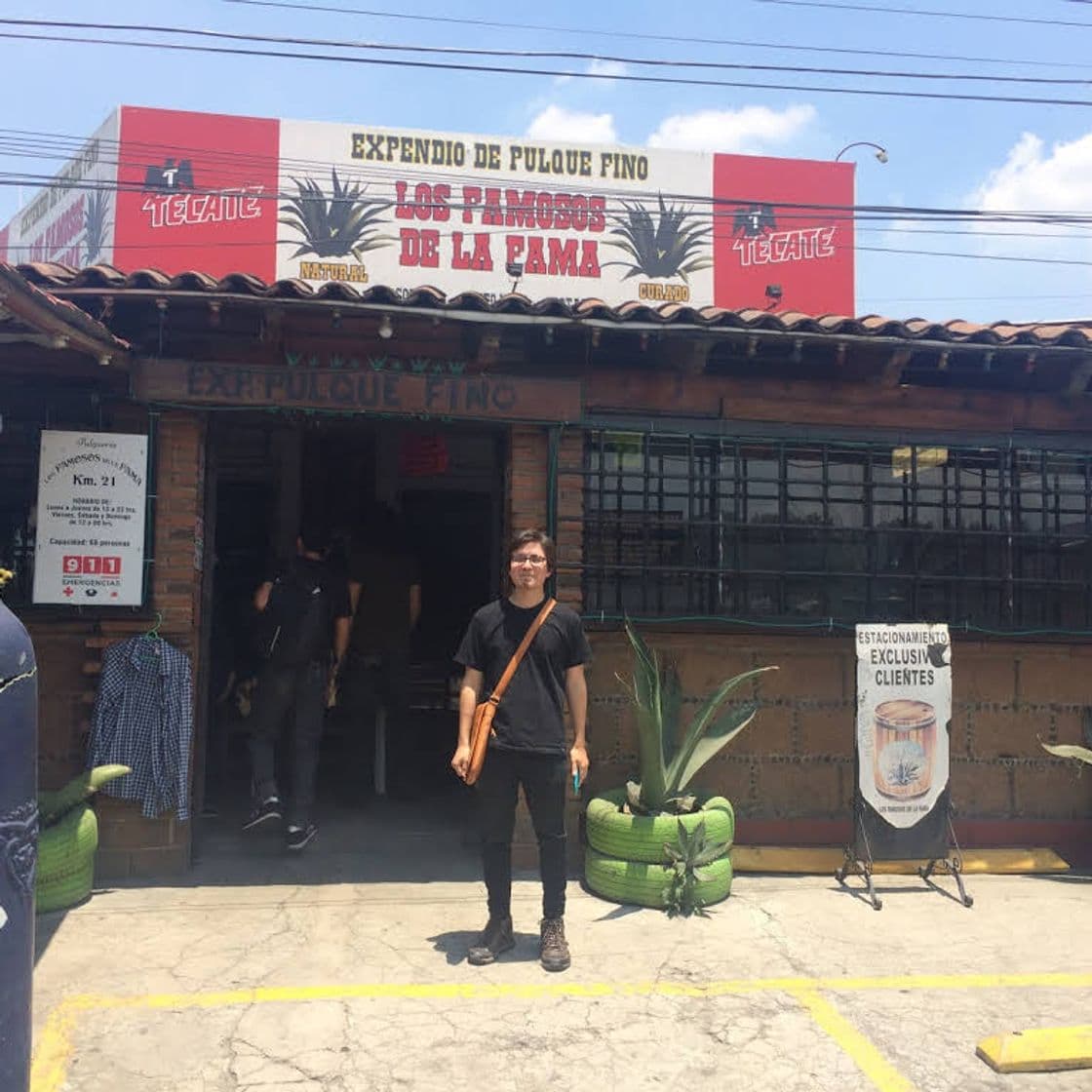 Restaurants Pulques Finos San Andrés