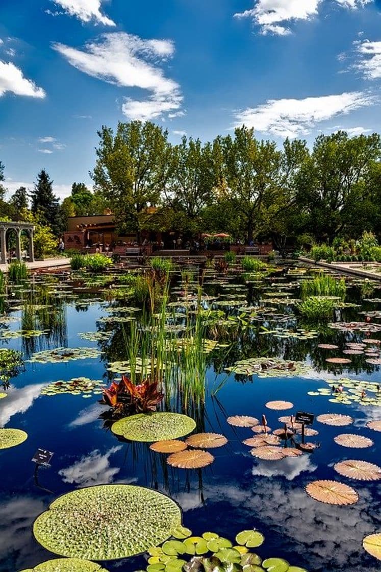 Lugar Jardín Botánico de Denver