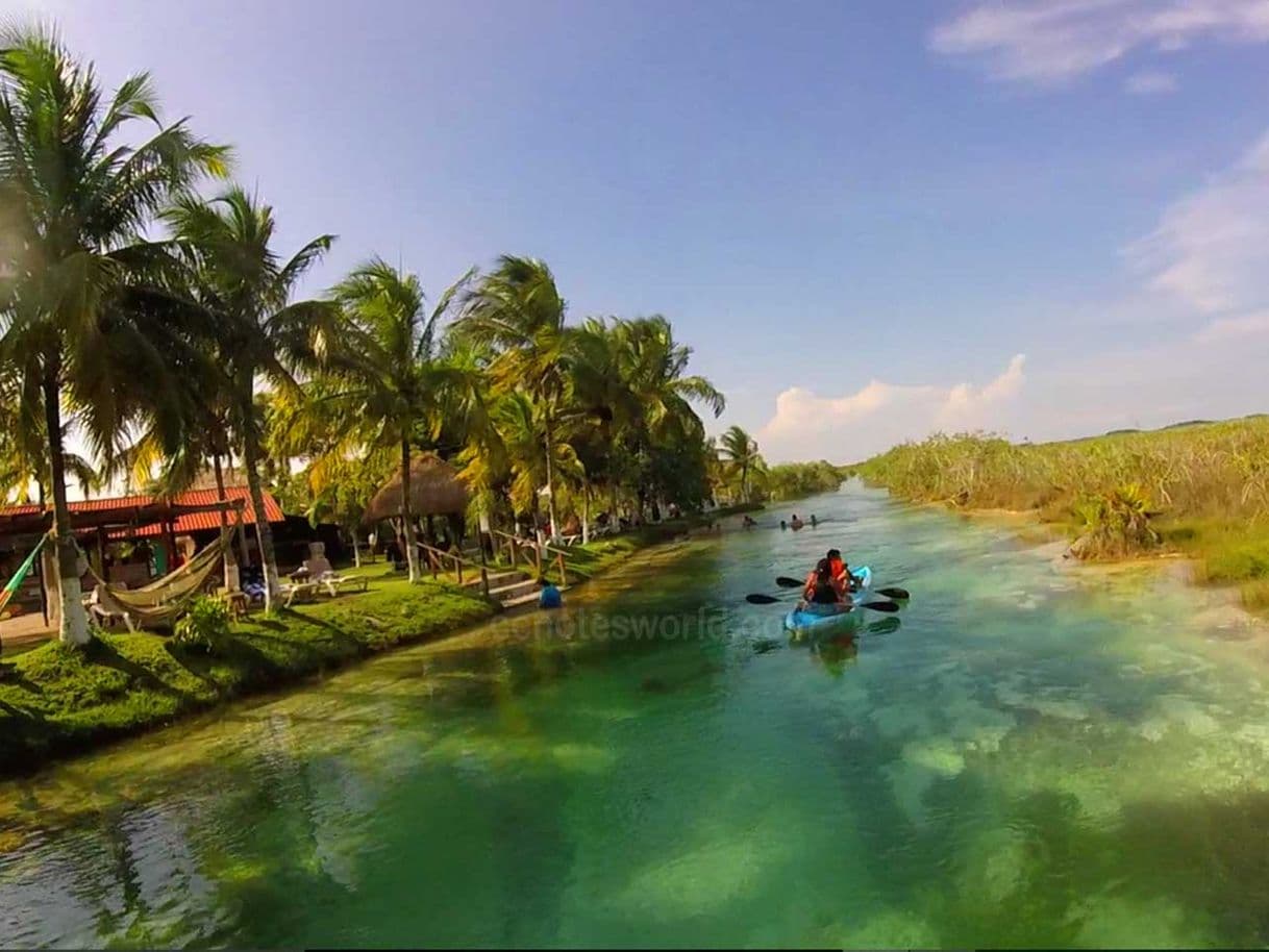 Place Los Rapidos laguna de Bacalar