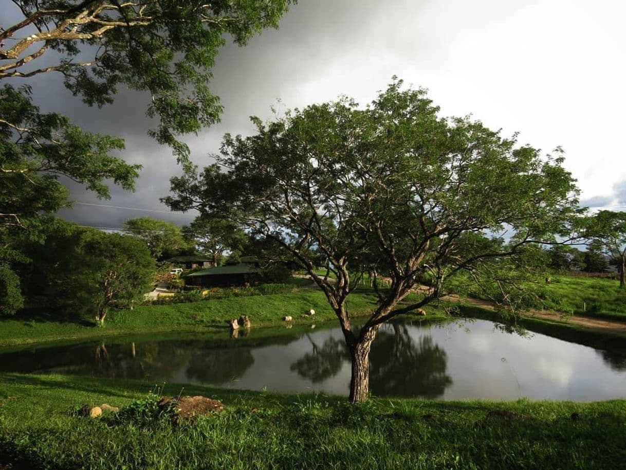 Lugar Buena Vista Lodge & Adventure Center