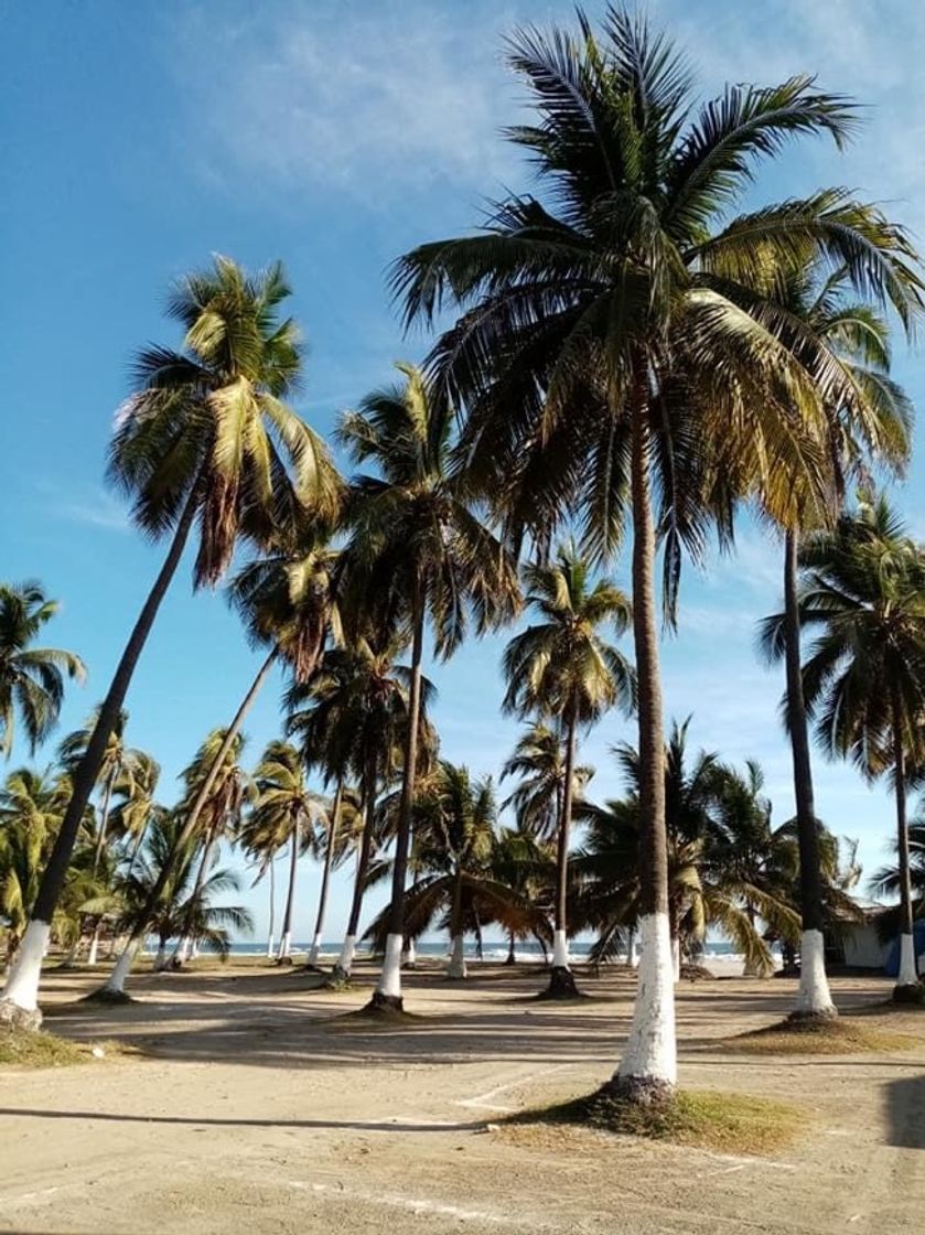 Place Lázaro Cárdenas Michoacán