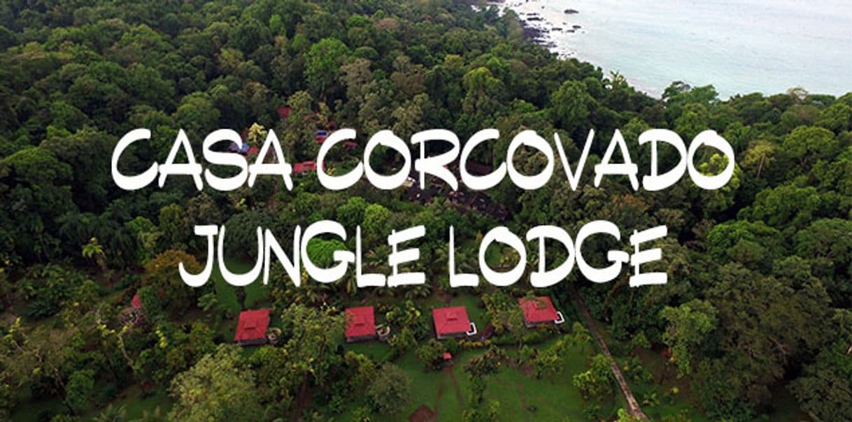 Lugar Casa Corcovado Jungle Lodge