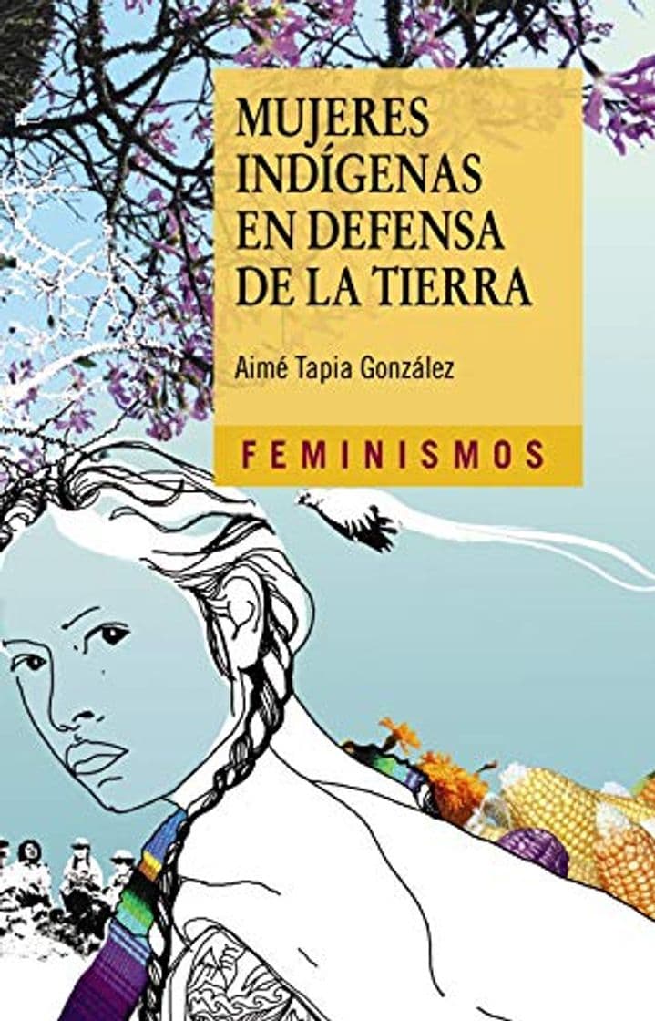 Libro Mujeres indígenas en defensa de la tierra