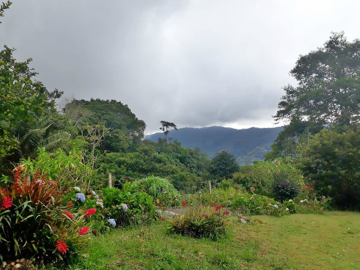 Lugar Reserva Natural La Laguna De La Sociedad Civil