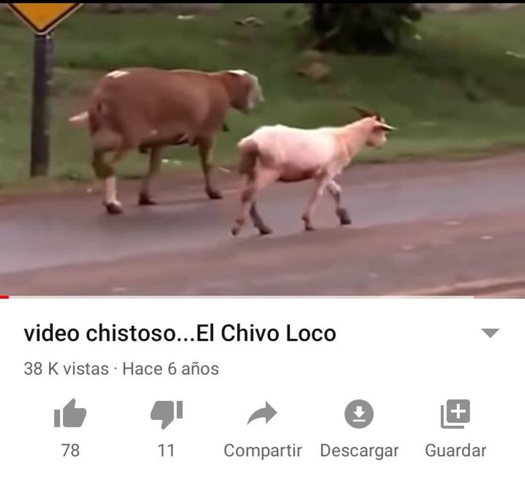 Moda video chistoso...El Chivo Loco - YouTube