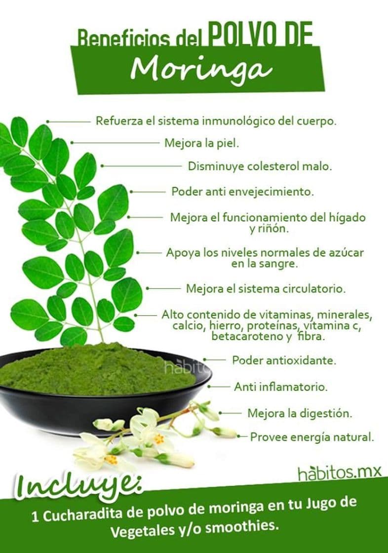 Moda Estos son algunos de los beneficios de la MORINGA.