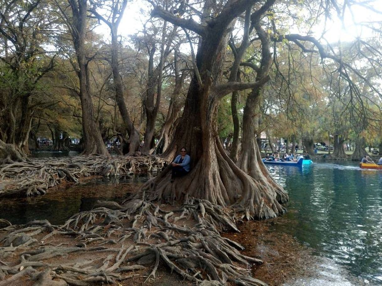 Lugar Camecuaro lake