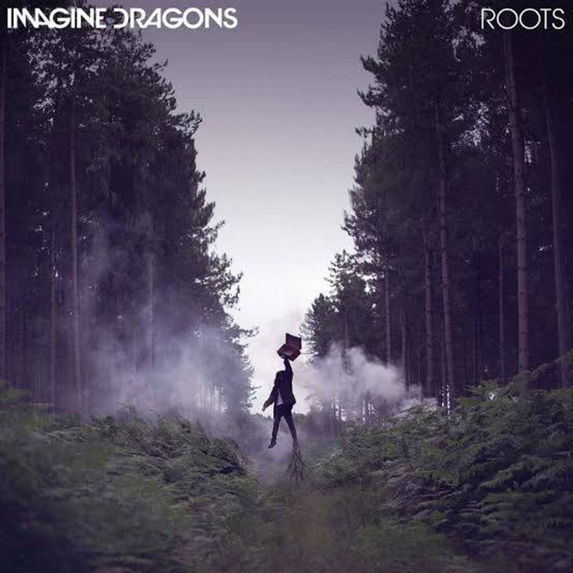 Music Roots - Imagine Dragons 