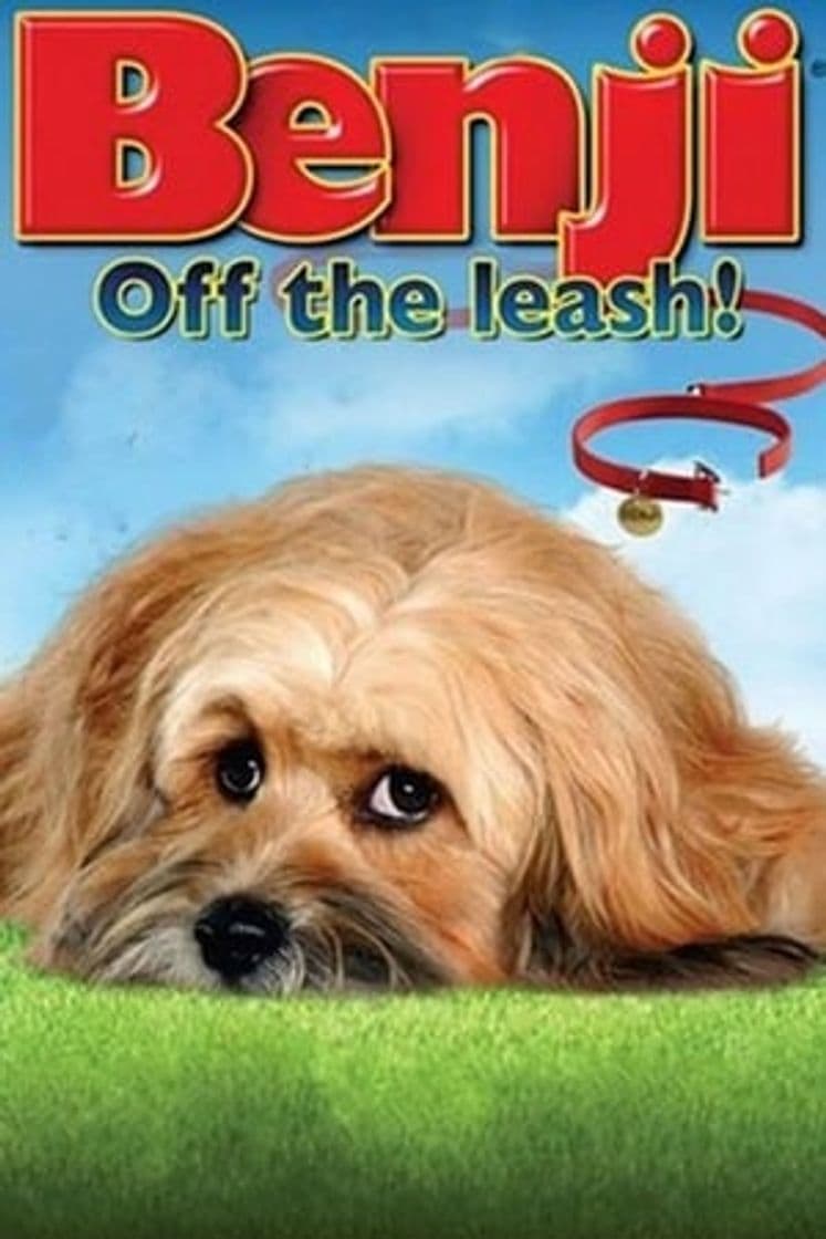 Movie Benji: Off the Leash!