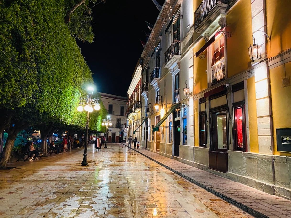 Place Guanajuato