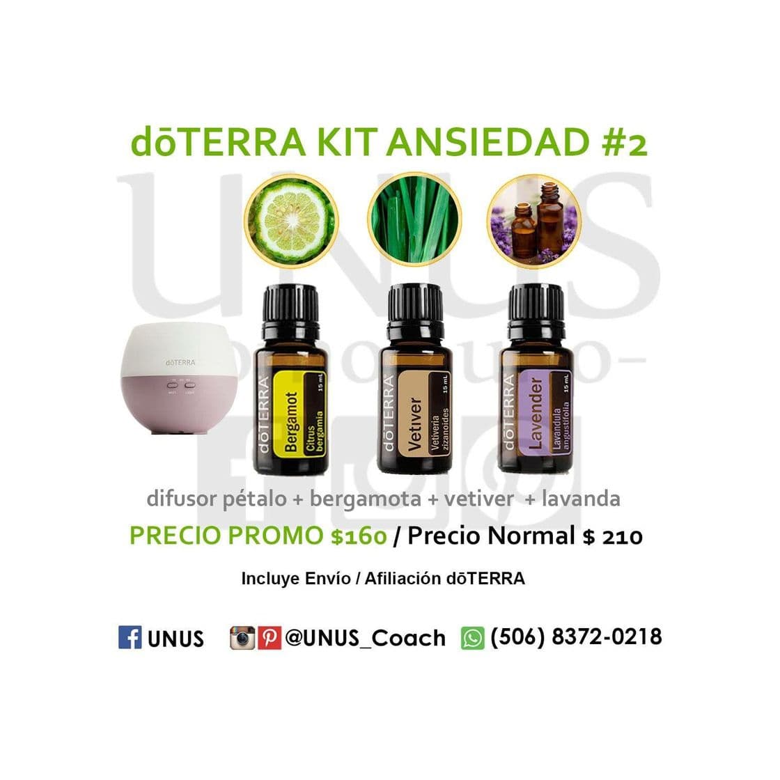 Belleza doTERRA Essential Oils Introductory Kit de 3 aceites.