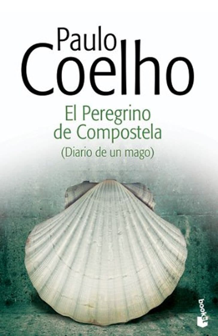 Book El Peregrino de Compostela: