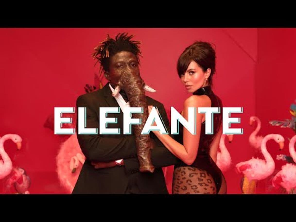 Canción Elefante