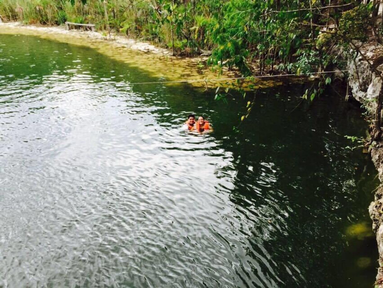 Lugar Cenote Las Mojarras