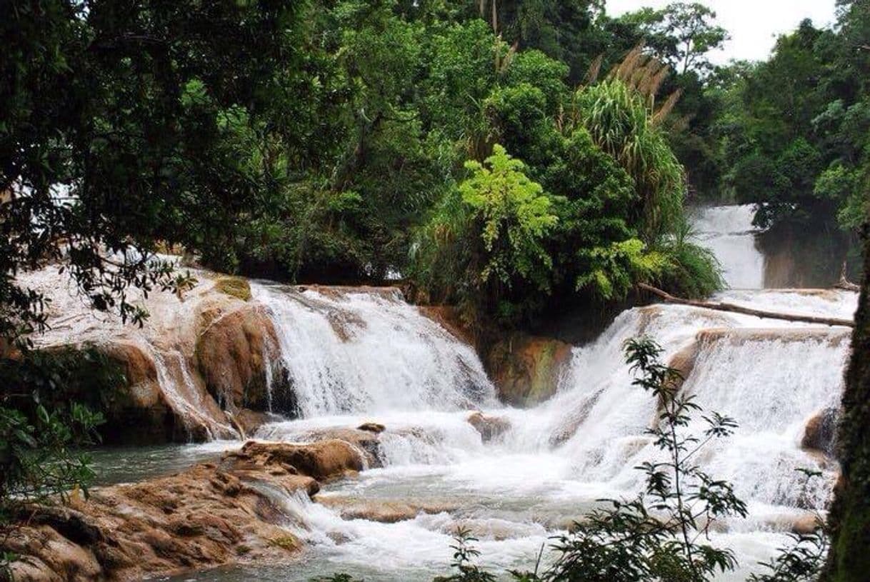 Lugar Cascadas Agua Azul