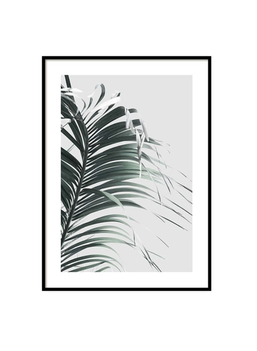 Product French Palm Leaf Poster