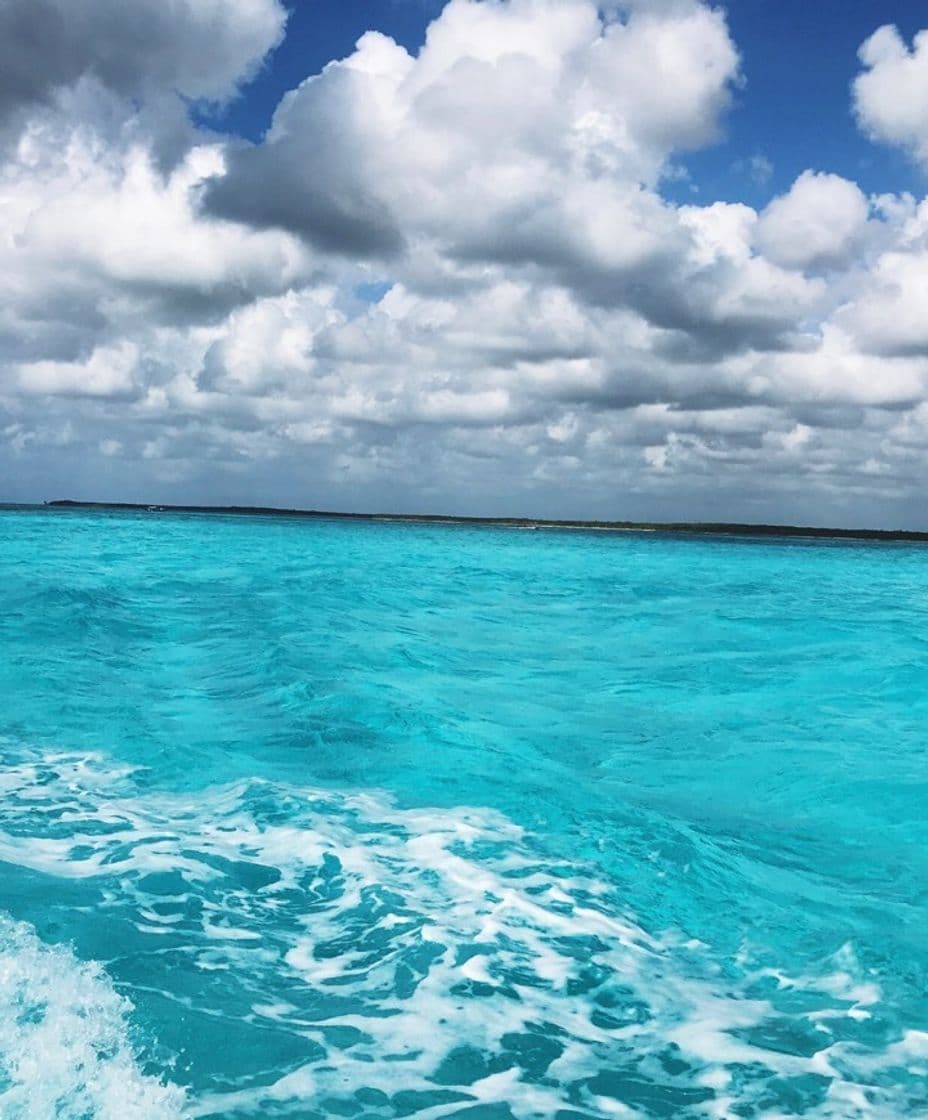 Place EL CIELO COZUMEL MEXICO