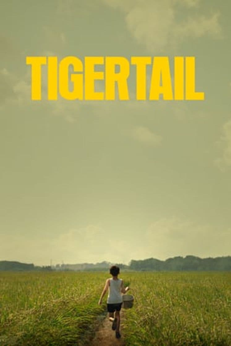 Película Tigertail