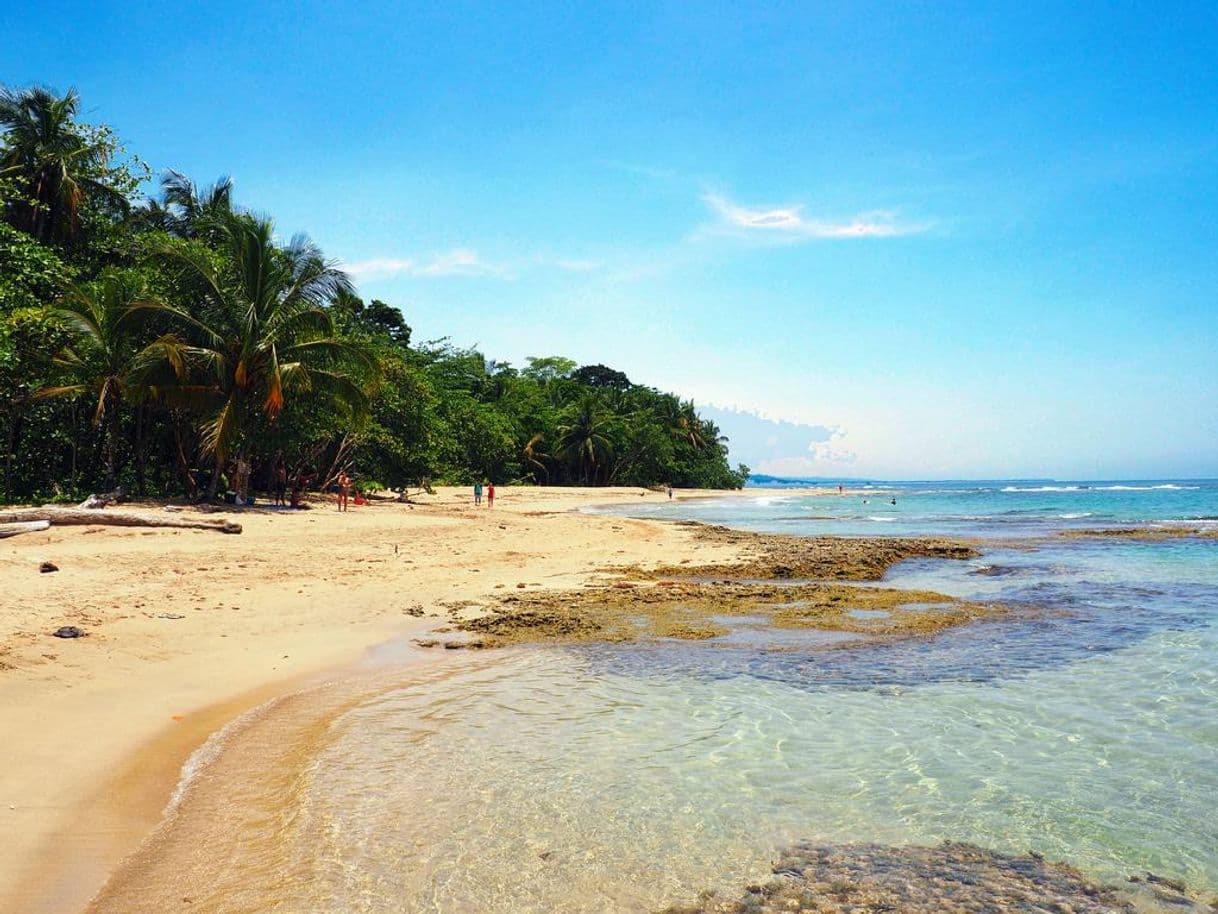 Lugar Beach Paradise Cabinas