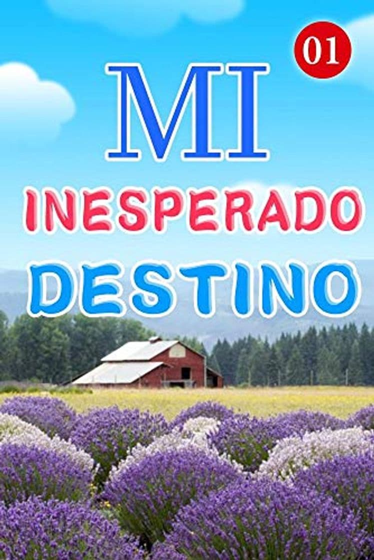 Book Mi Inesperado Destino 1: Una buena charla en la azotea