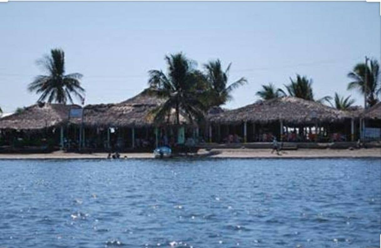 Lugar Puerto Arista