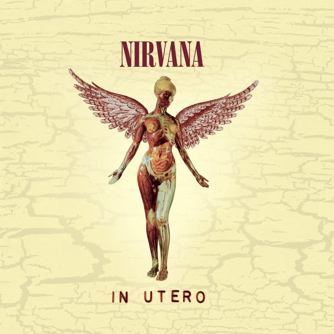 Music Nirvana - In utero