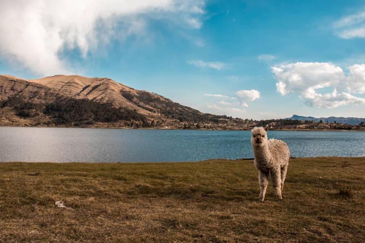 Place Chinchero