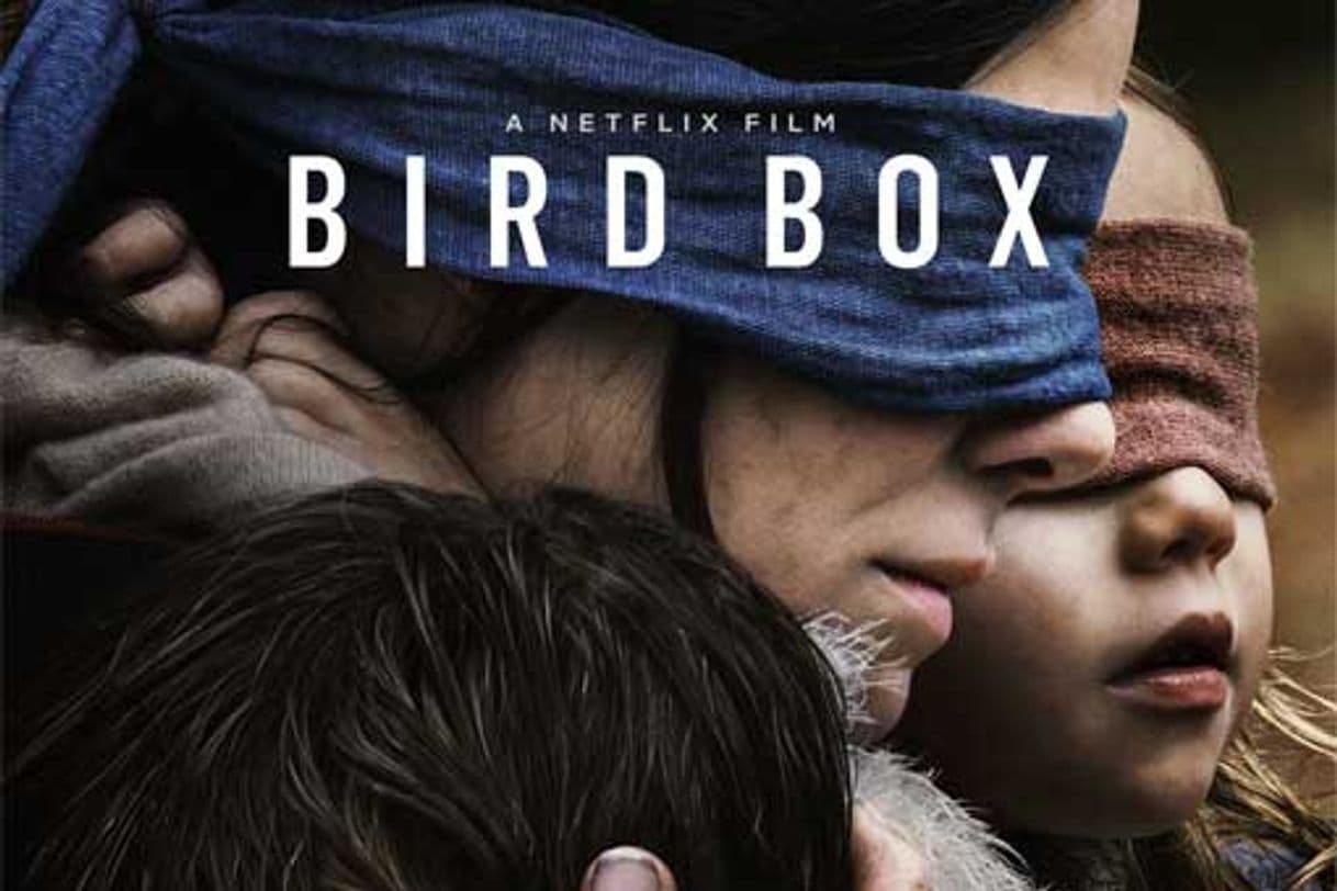 Película Bird Box