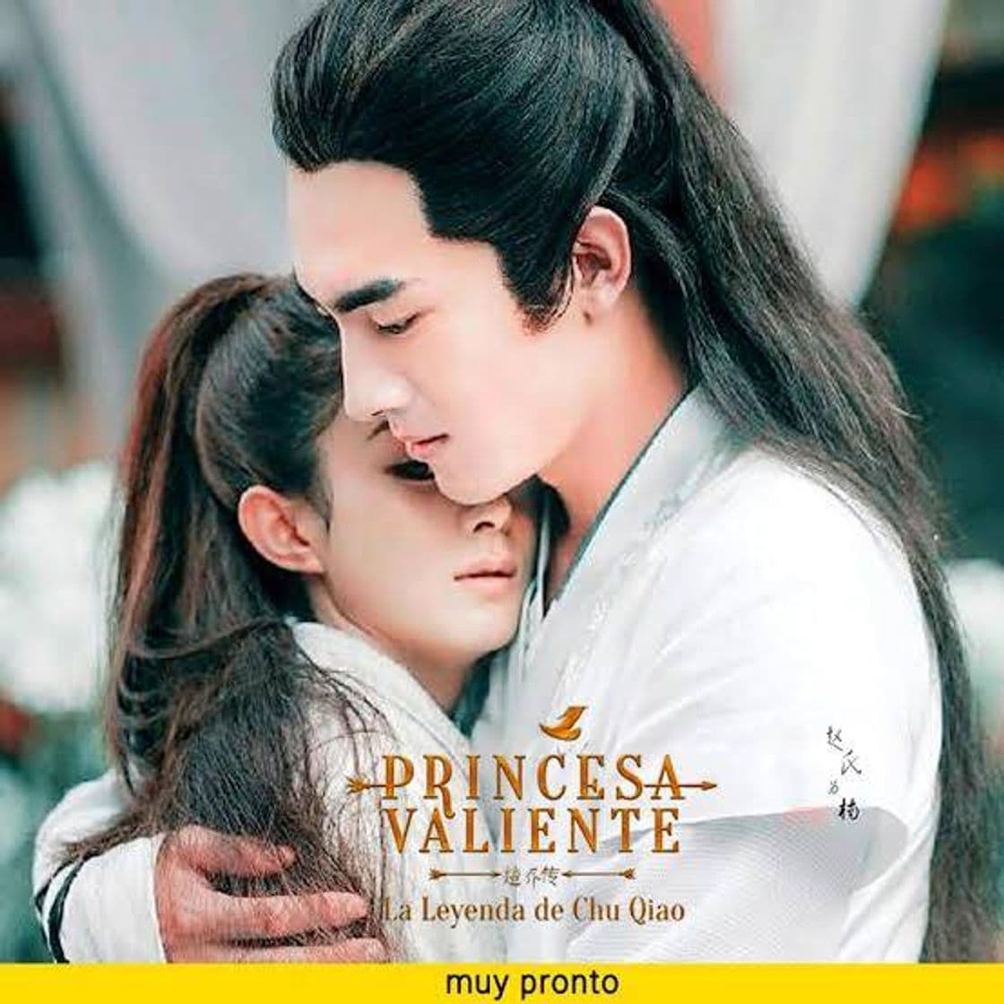 Movie Princesa valienta