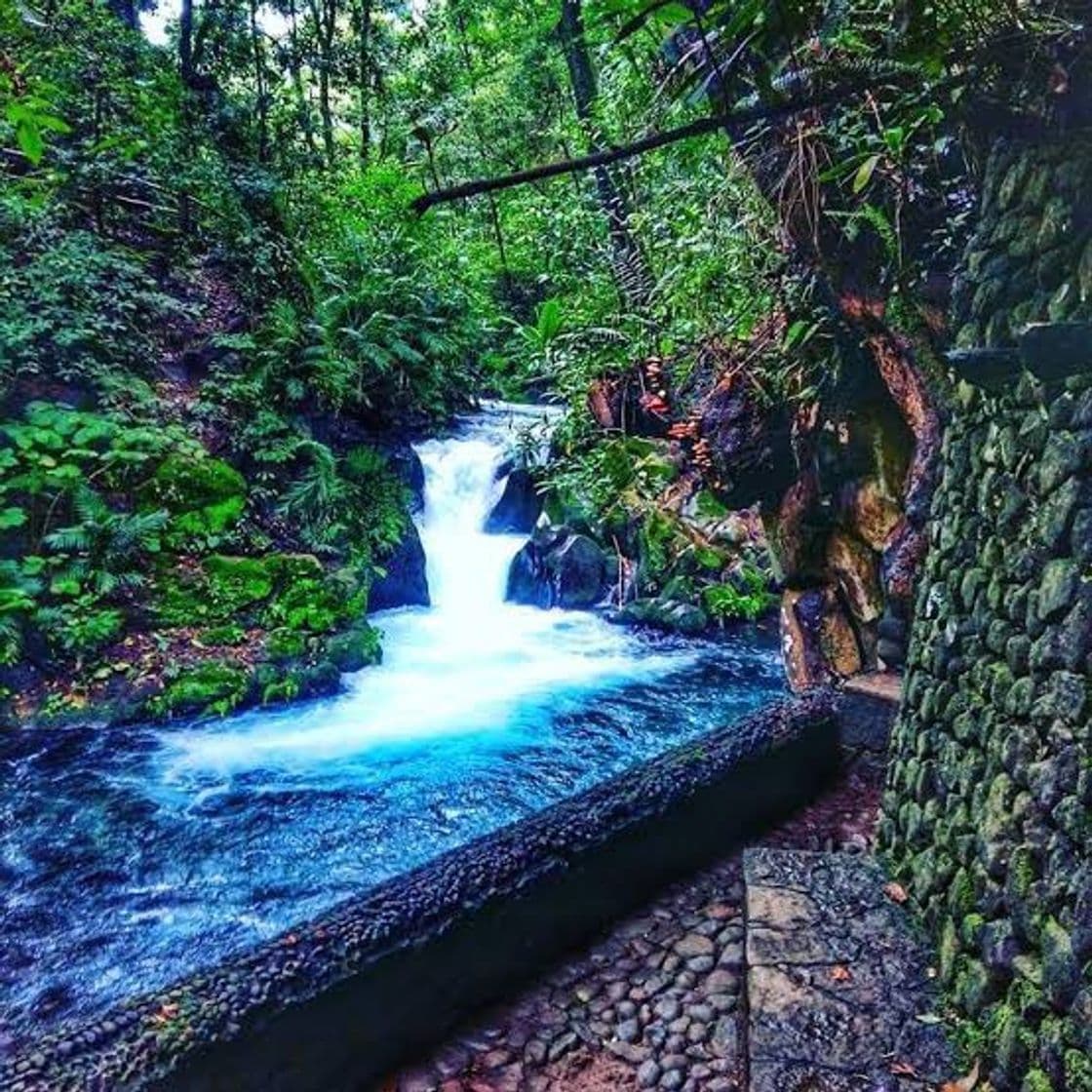 Place Parque Nacional de Uruapan