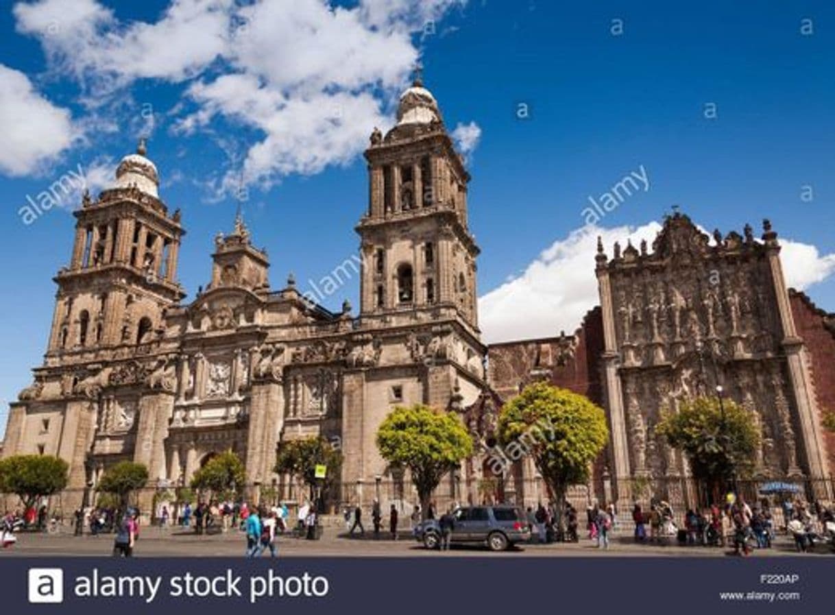 Lugar Catedral Metropolitana de la Asunción de María