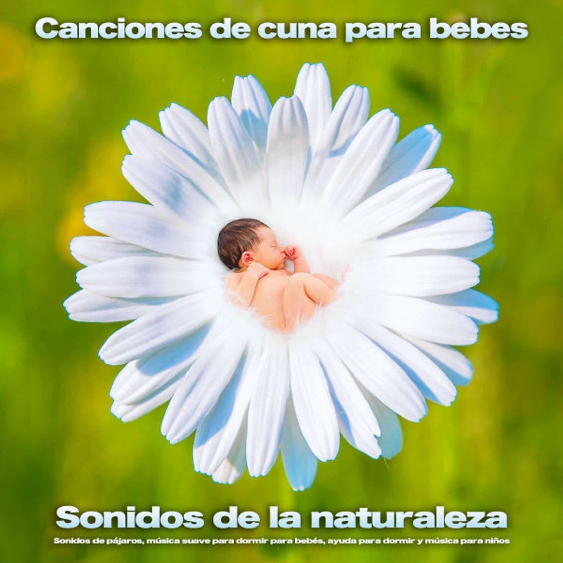 Music Canciones infantiles