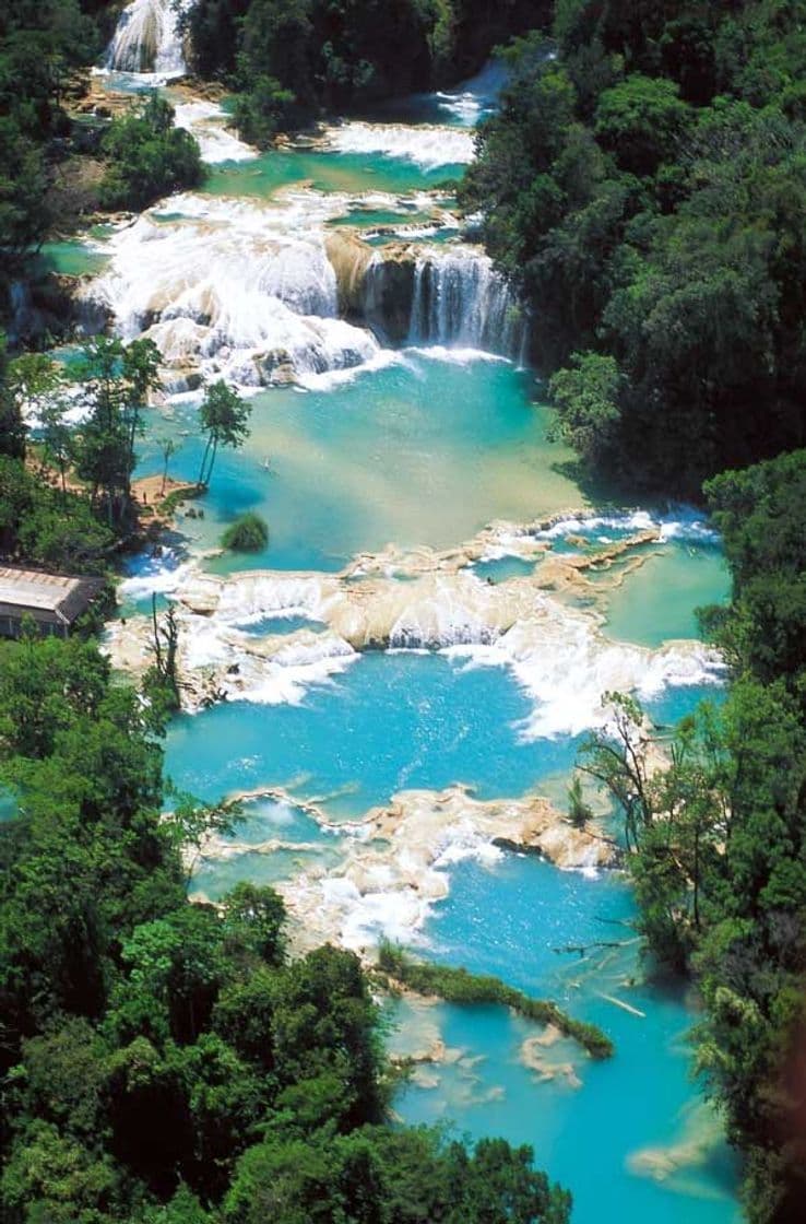 Lugar Agua Azul