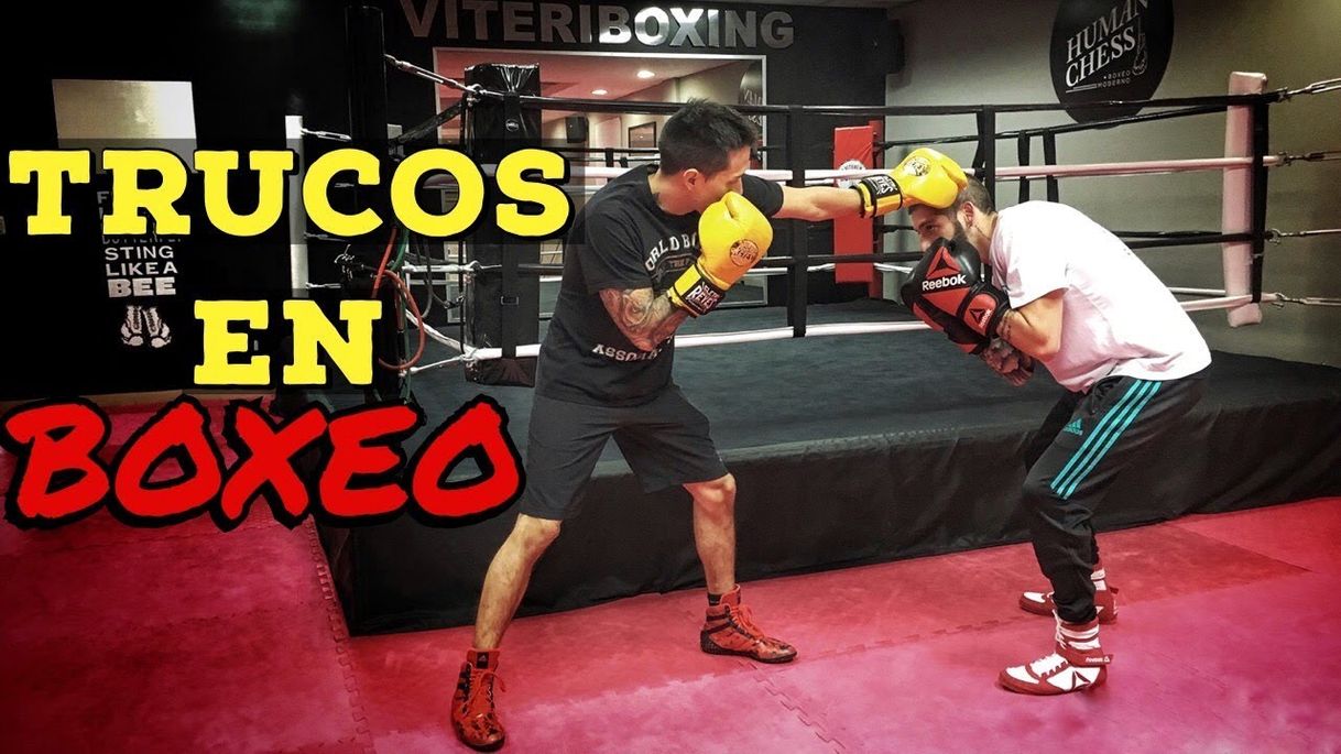 Moda TRUCOS en Boxeo Para Dominar a Tu Oponente - YouTube