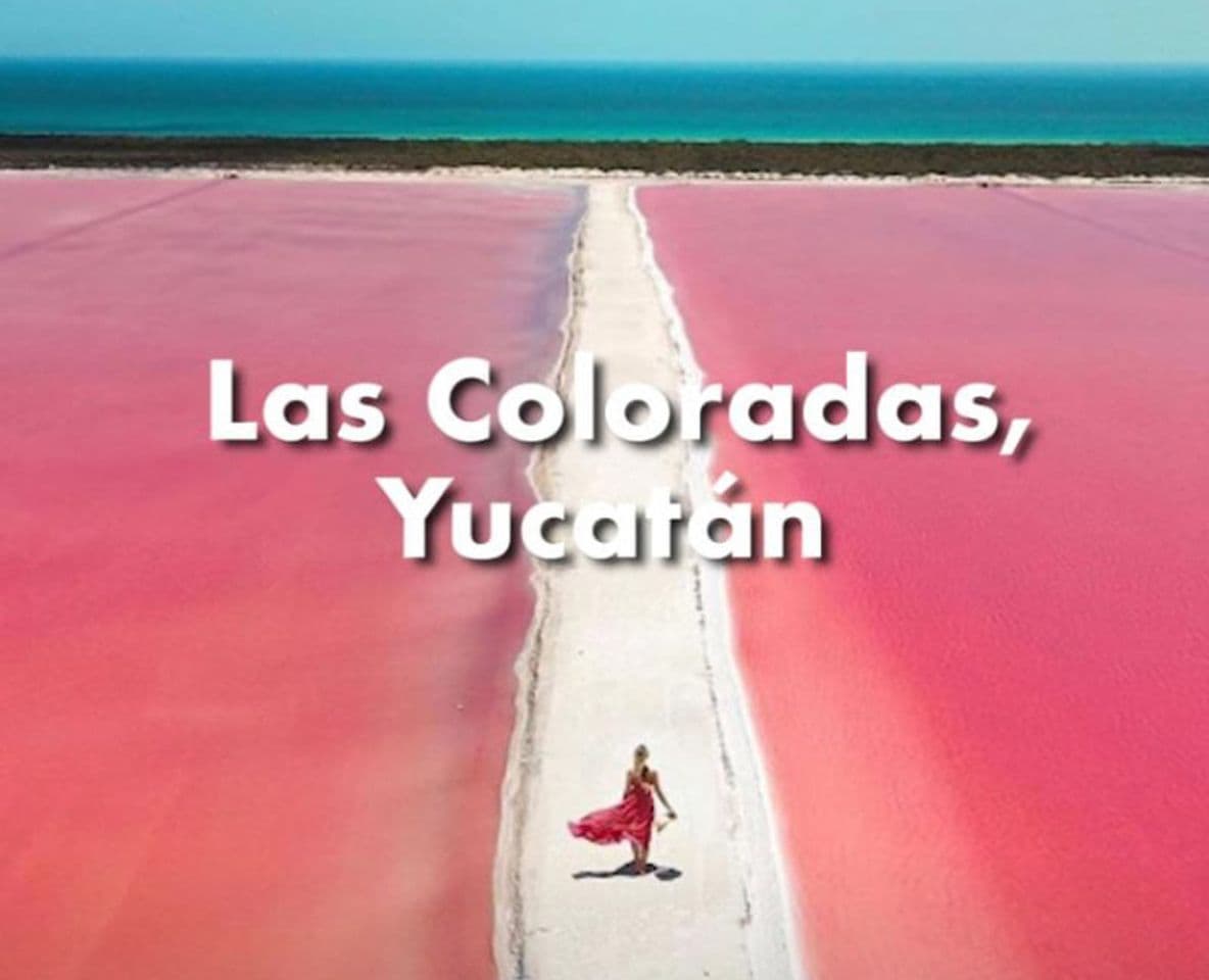 Place Las Coloradas Yucatan