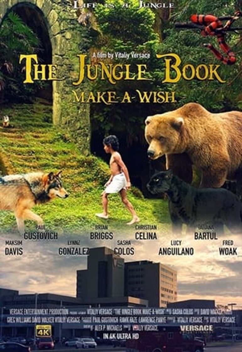 Movie The Jungle Book: Make-A-Wish