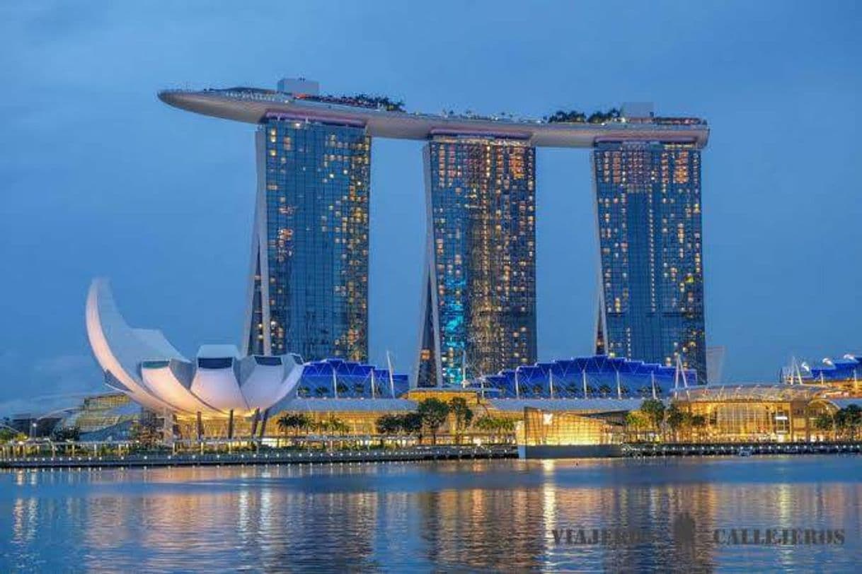 Place Marina Bay Sands Singapore