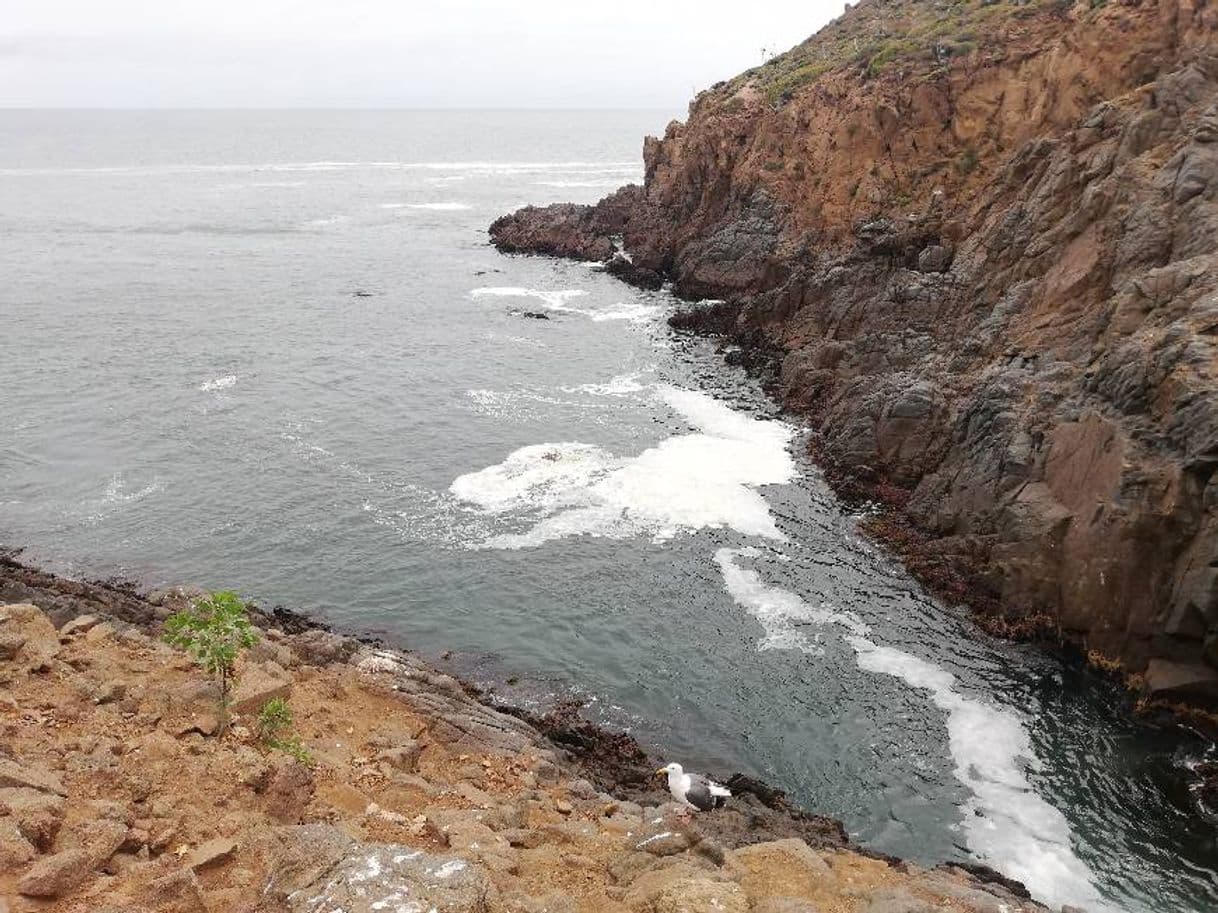 Lugar La Bufadora Ensenada BC Mexico