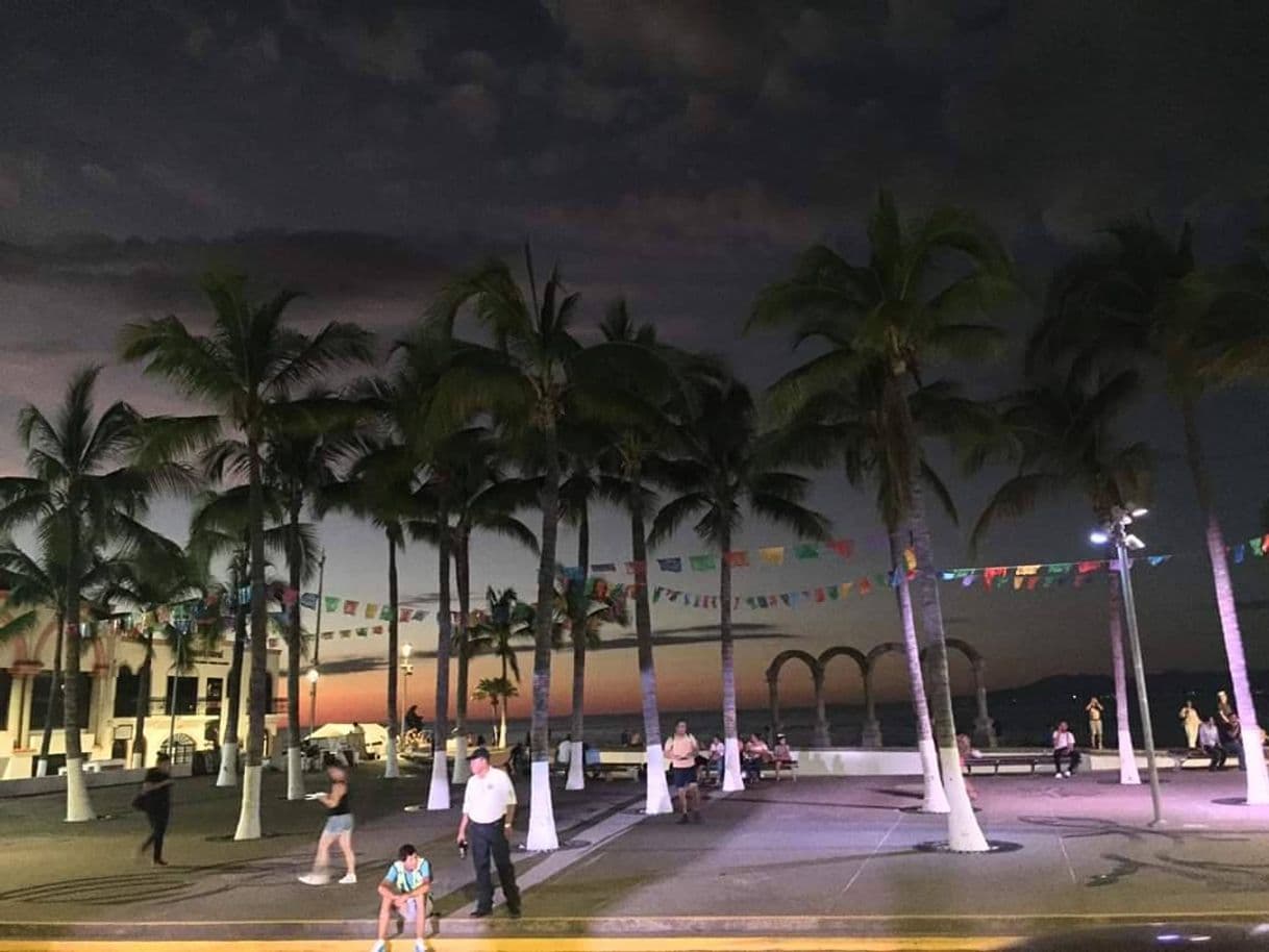 Lugar Malecon Puerto Vallarta