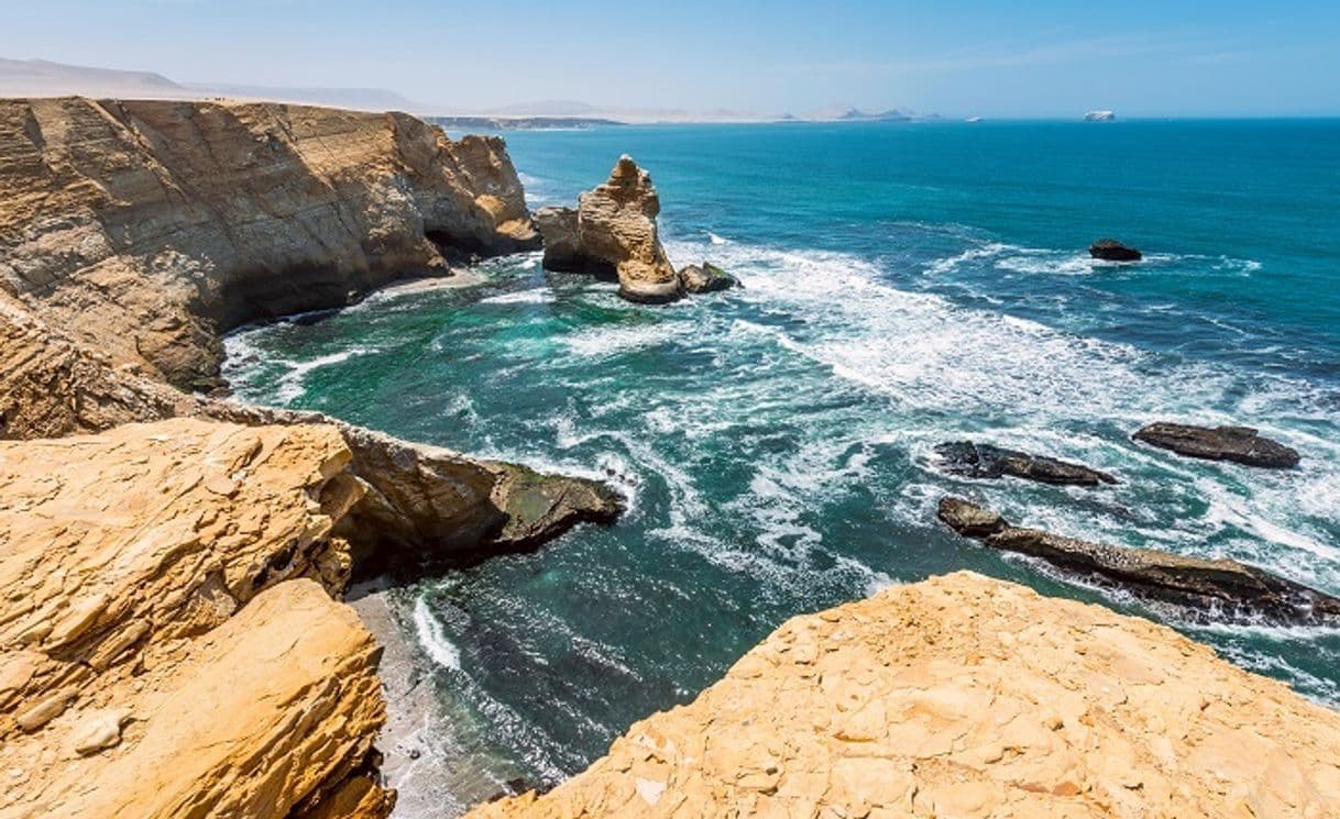 Place Paracas National Reserve