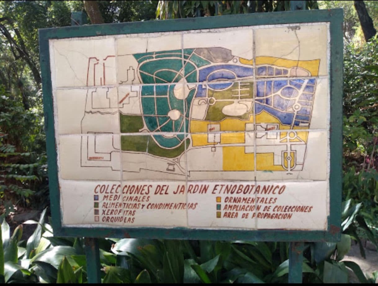 Lugar Jardín Etnobotánico La Casa del Olindo