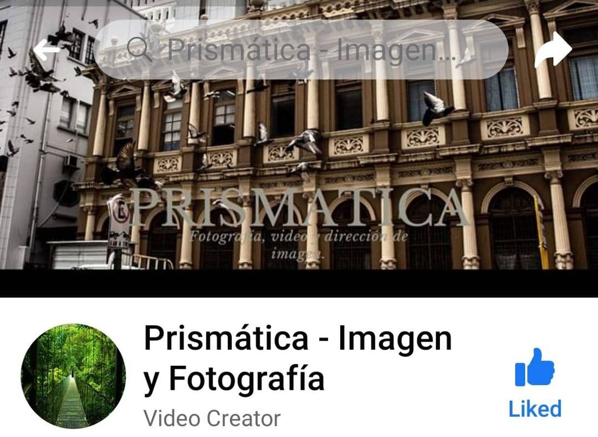 Moda Prismatica