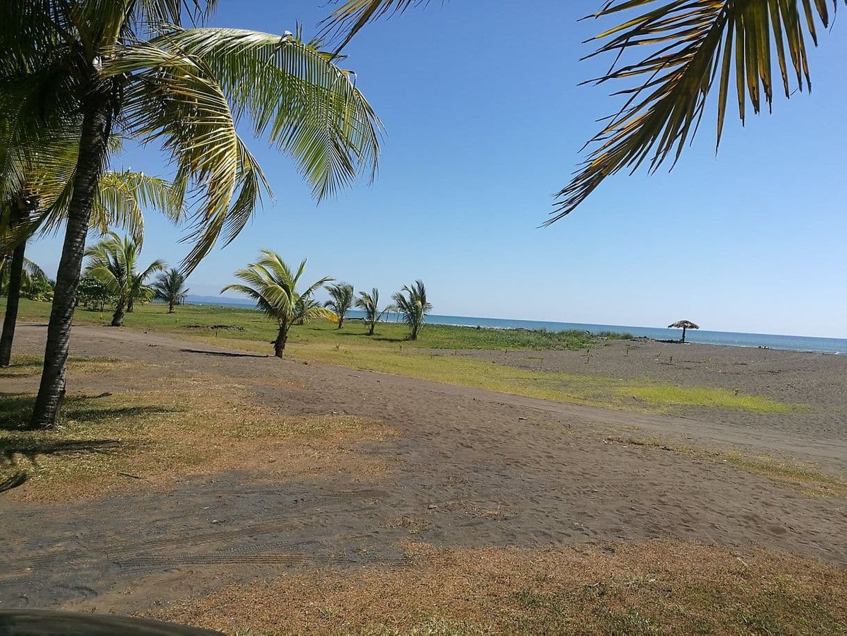 Lugar Playa Palo Seco