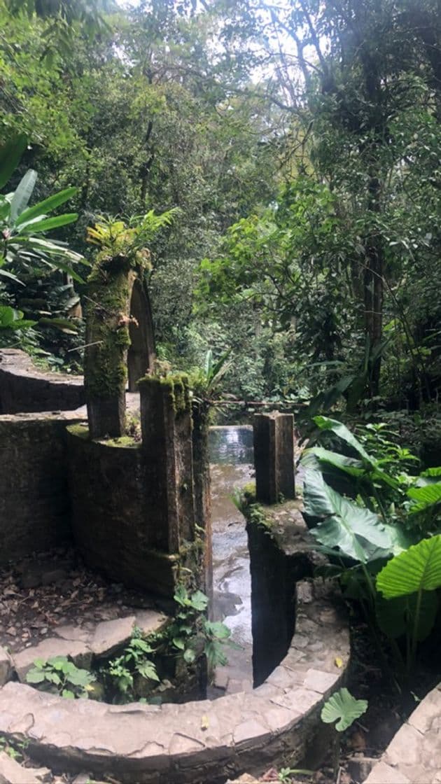 Lugar Huasteca Potosina