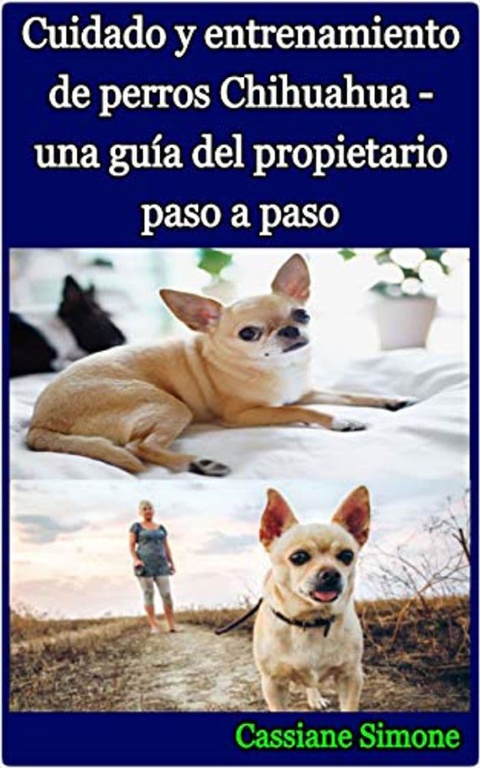 Fashion Cuidado y entrenamiento de perros Chihuahua