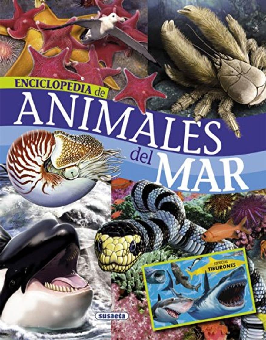 Book Animales del mar