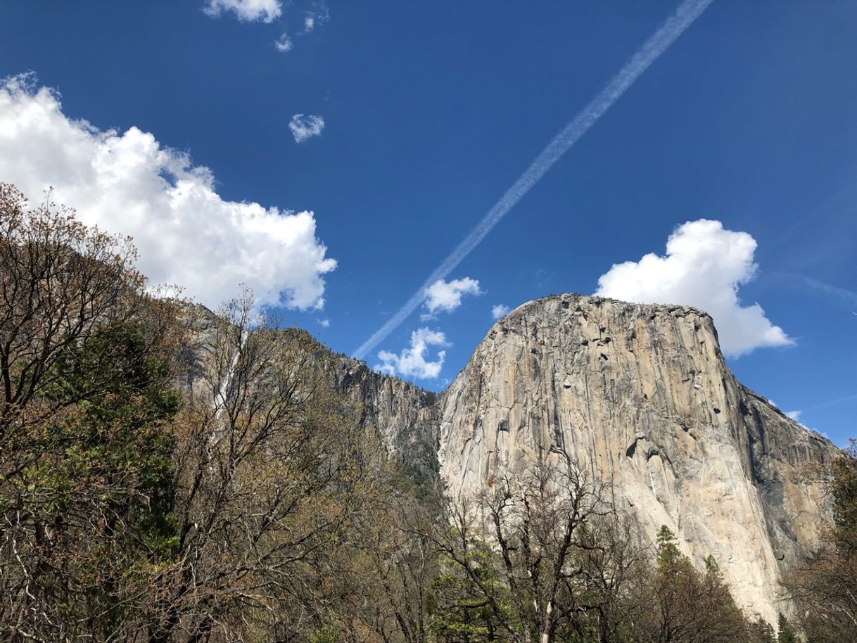 Place Yosemite