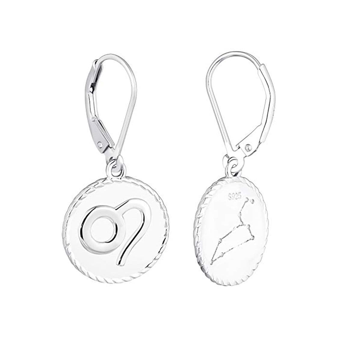 Product YL Pendientes colgantes Leo de plata925 Pendientes colgantes Constellation para mujer y niña Horóscopo del zodiaco 12