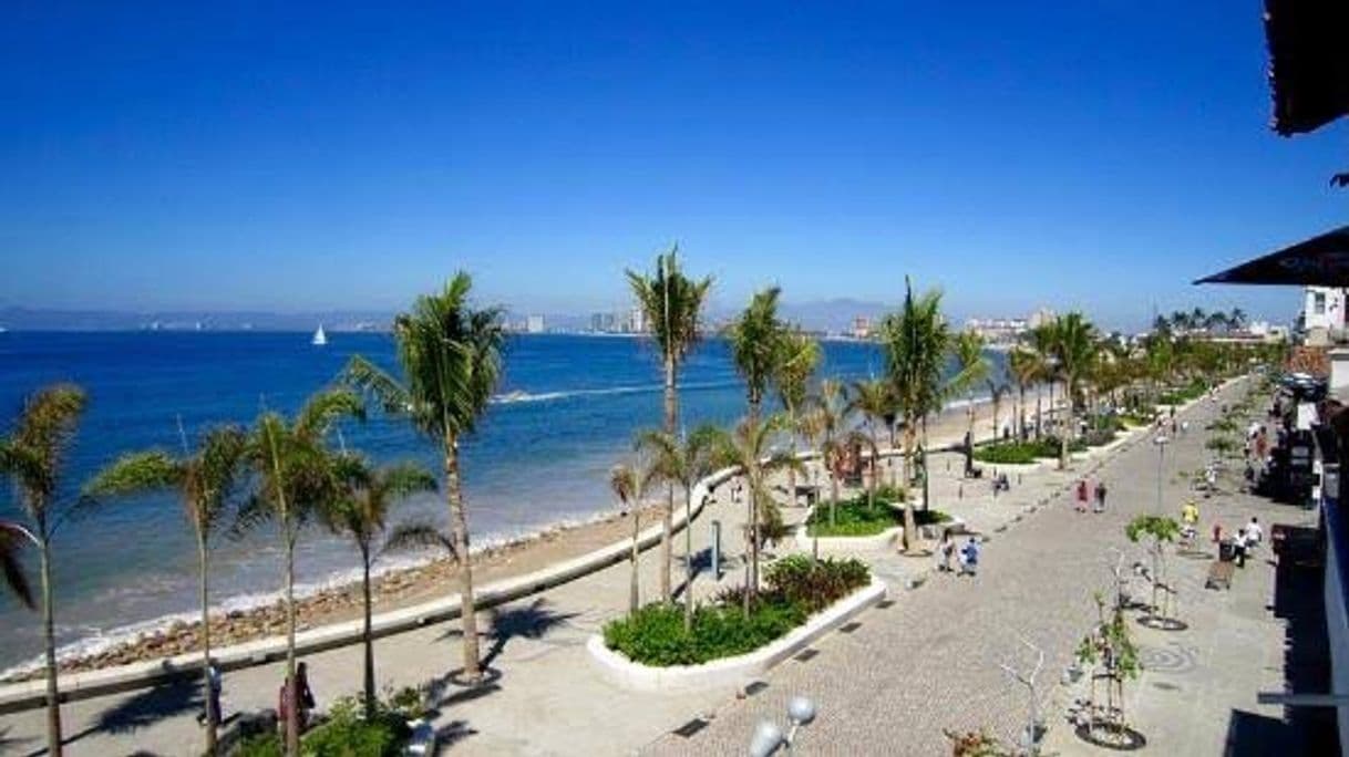 Lugar Puerto Vallarta